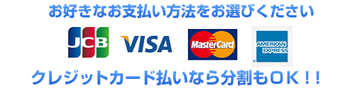お好きなお支払い方法をお選び頂けます。VISA、MasterCard、JCB、AMEX