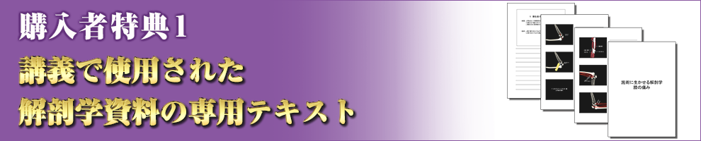 セット内容